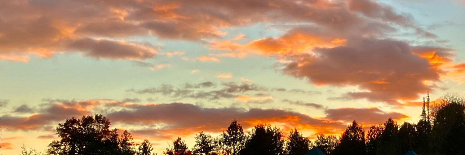 AuthorNYoung's profile banner image