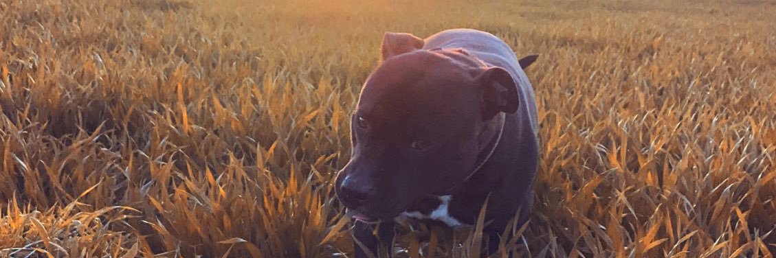 clmntsrt's profile banner image