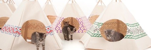 cat_tipi's profile banner image