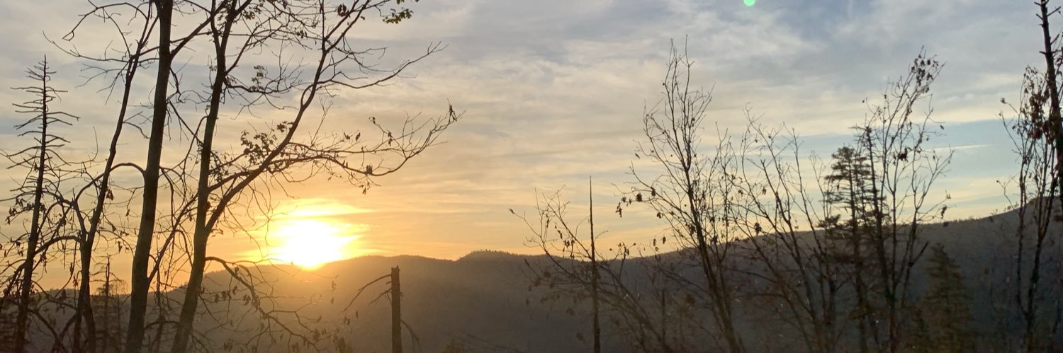 Mandy Ehrlich banner