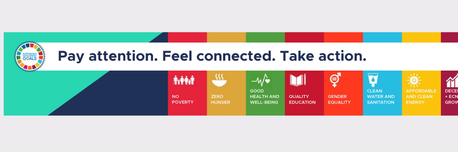 Ms. Kate Strein banner