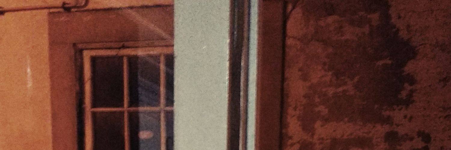 João Gaspar banner