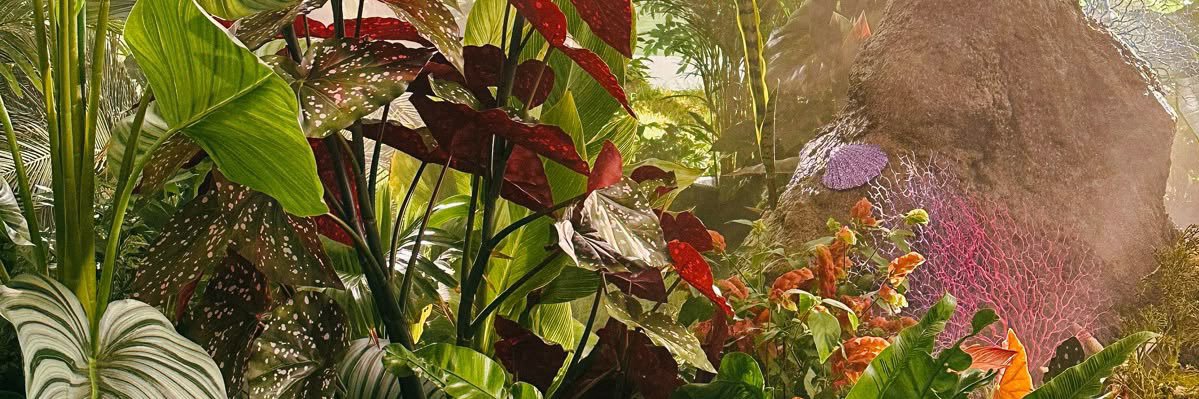 lucidcix's profile banner image