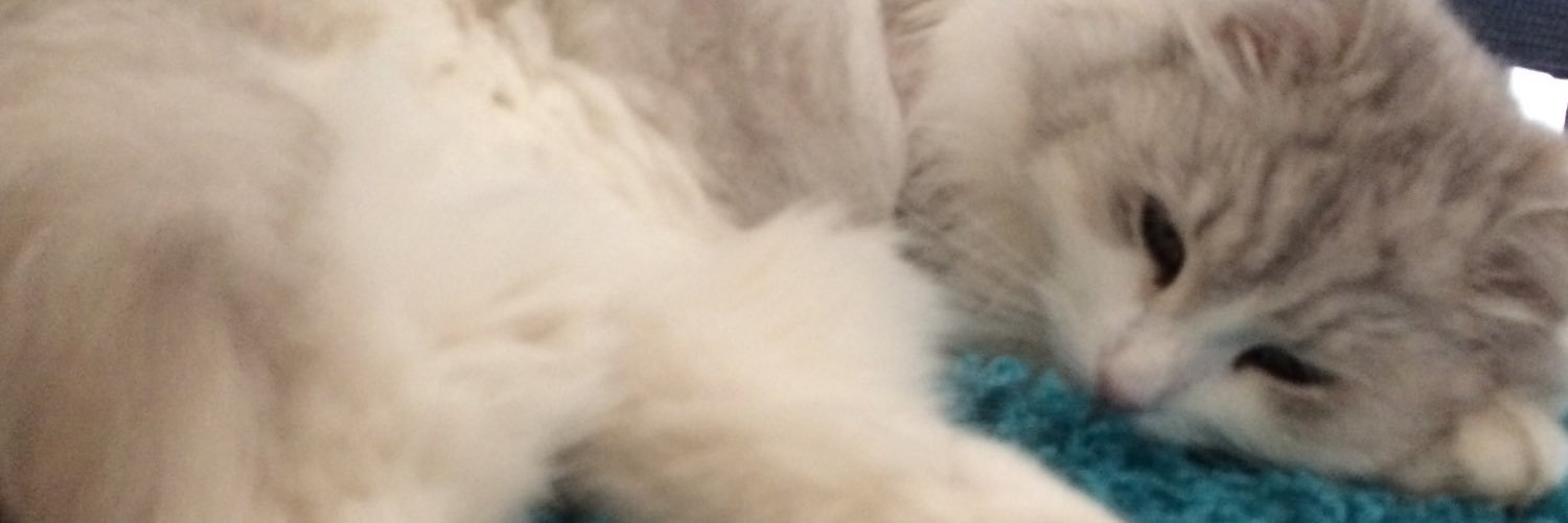 jorabbitmusic's profile banner image