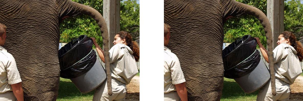 Tom Peppermint banner