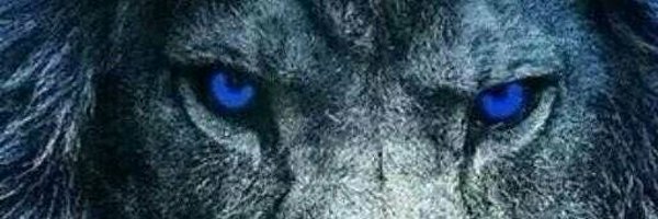 TLangley99 Profile Banner