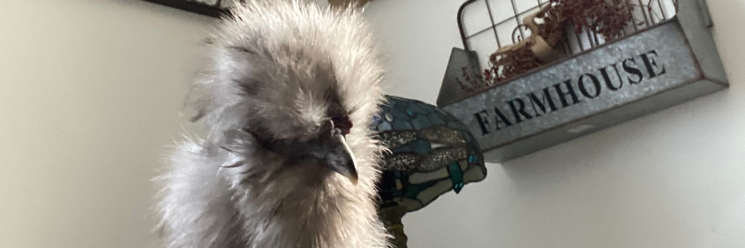 Thought Criminal 601 banner