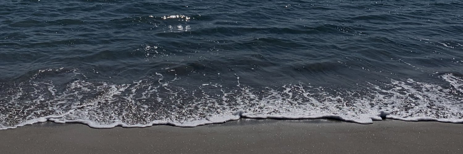 bri_schafer's profile banner image