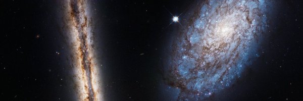 Weszupp's profile banner image