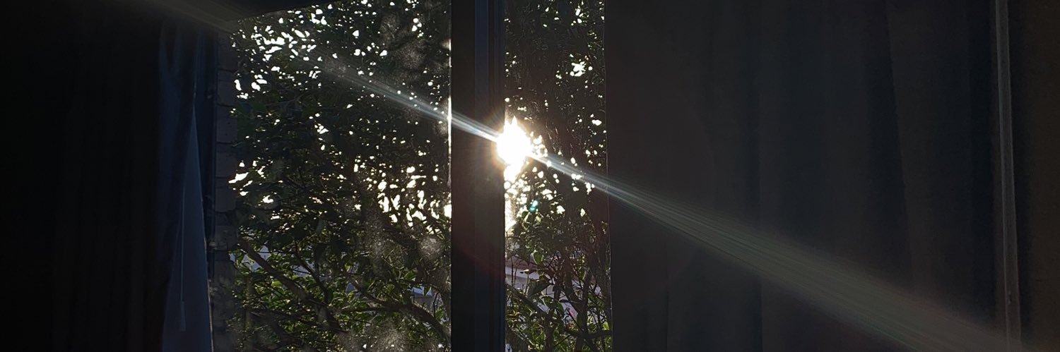 _lourdesf's profile banner image