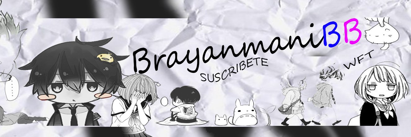 BrayanManiBB banner