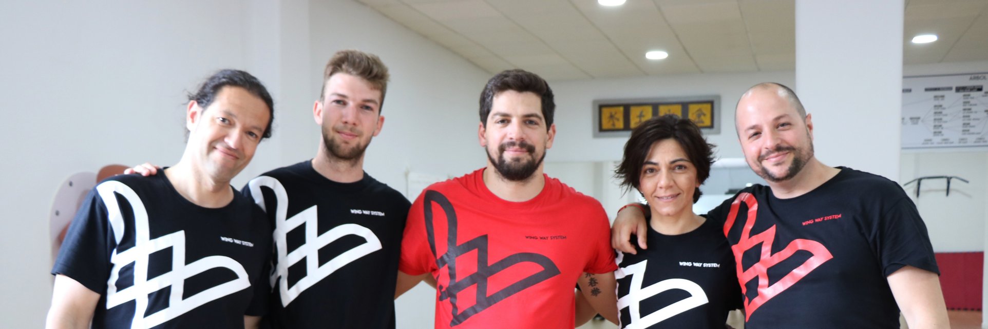 wingwaysystem's profile banner image
