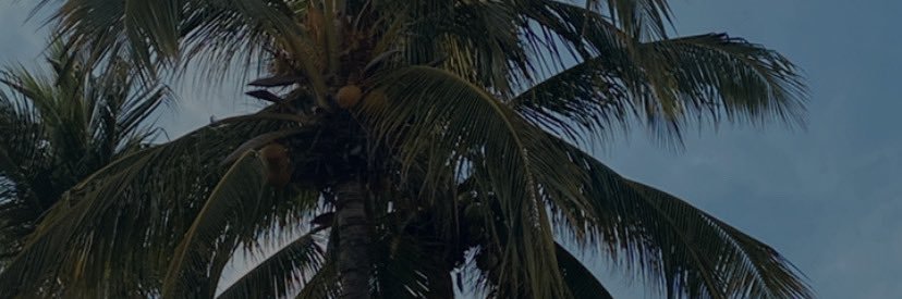 PauRamiirezD's profile banner image