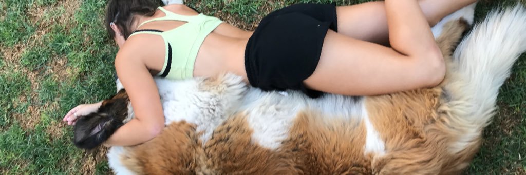 AiluGraf's profile banner image