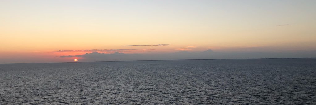 dianatapia331's profile banner image