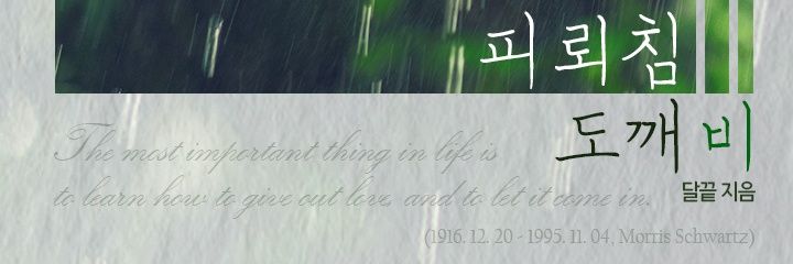 lalune_E's profile banner image