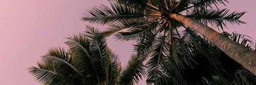 fer_iturri's profile banner image