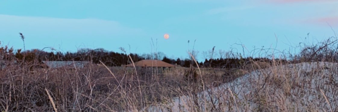 JulieEricson's profile banner image