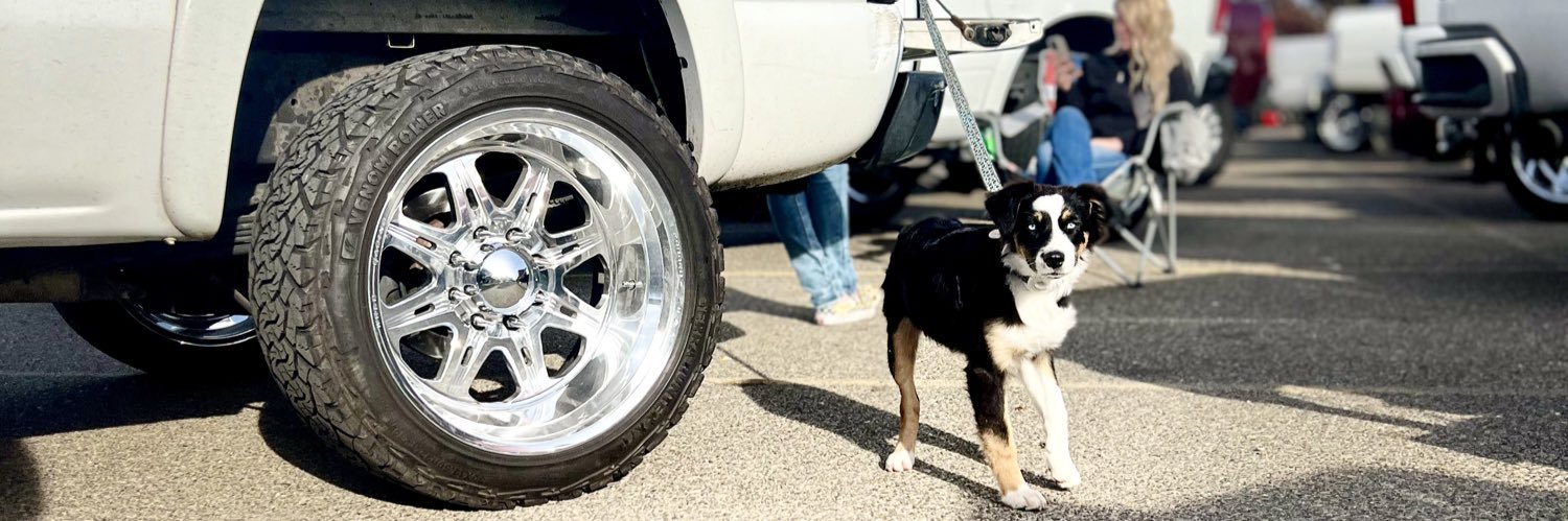 VulvaDipper's profile banner image