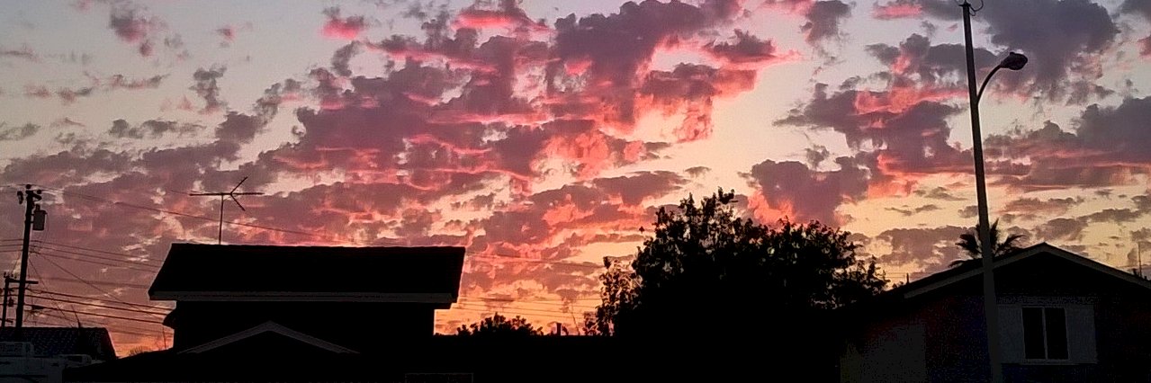 Julicia Dawwson banner