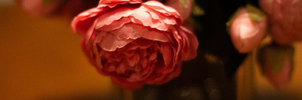 eric_dolecki Profile Banner