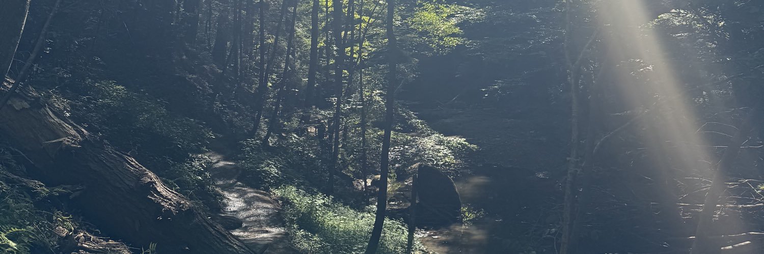 brittnye_'s profile banner image