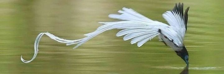 donal_77's profile banner image