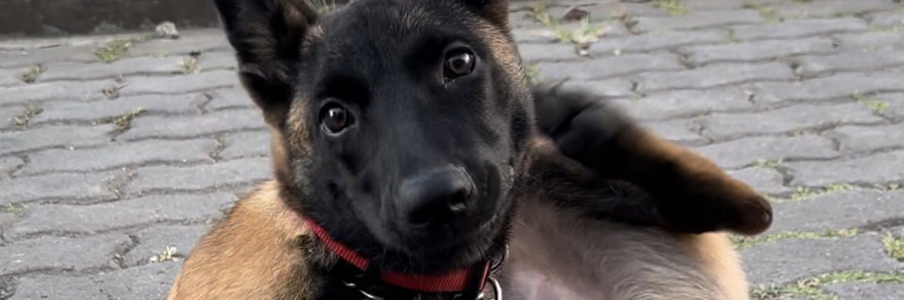 itsactuallylexi's profile banner image