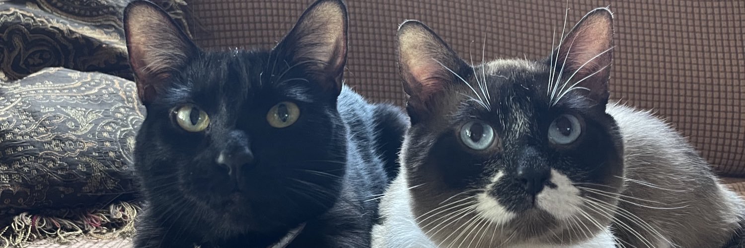 hell0kittyy69's profile banner image
