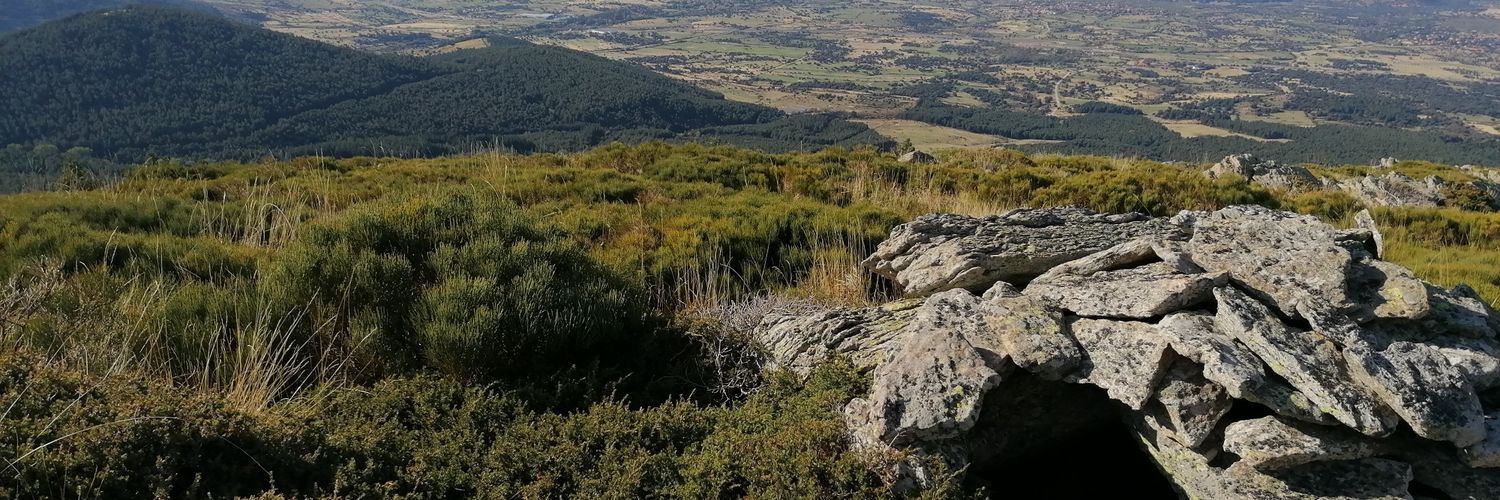 cedillenson's profile banner image
