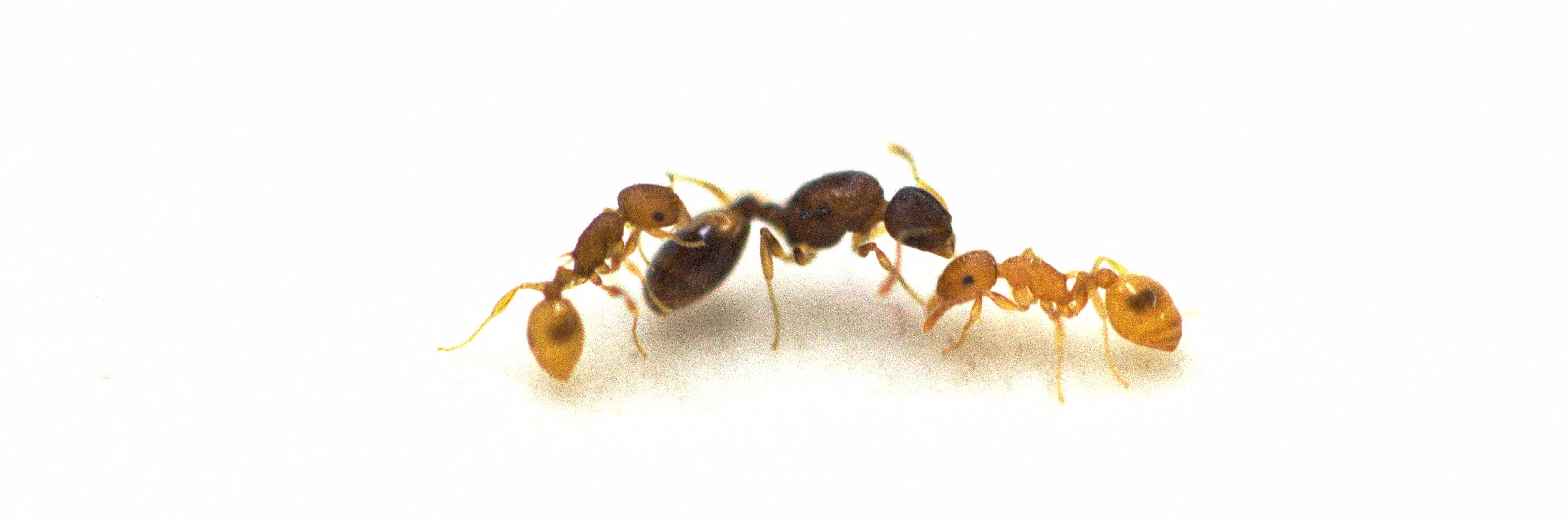 Barbara Feldmeyer banner