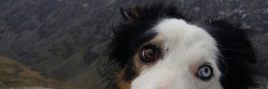 JohnMicmor's profile banner image