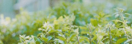 ㅤㅤ banner
