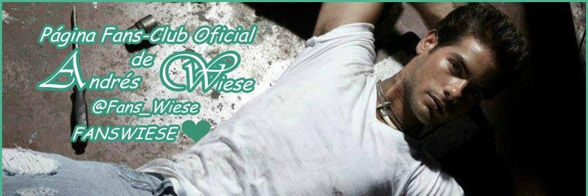Fans_Wiese's profile banner image