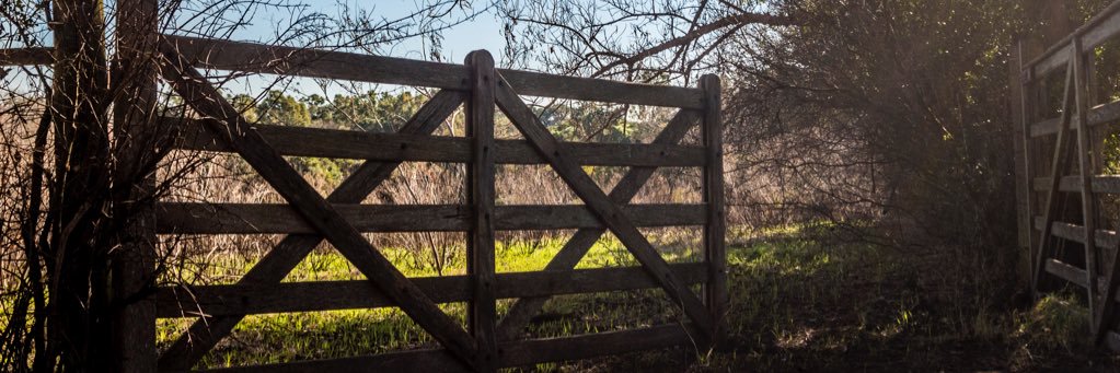 a_grille's profile banner image