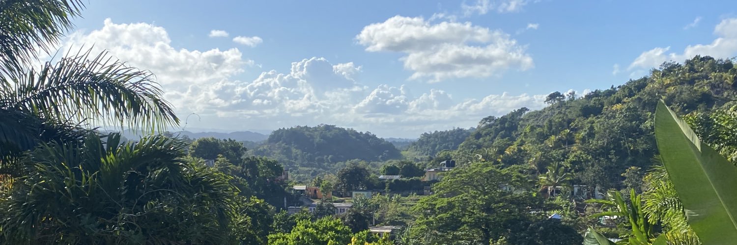 Ché banner