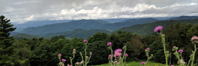 EmilyRuskin's profile banner image