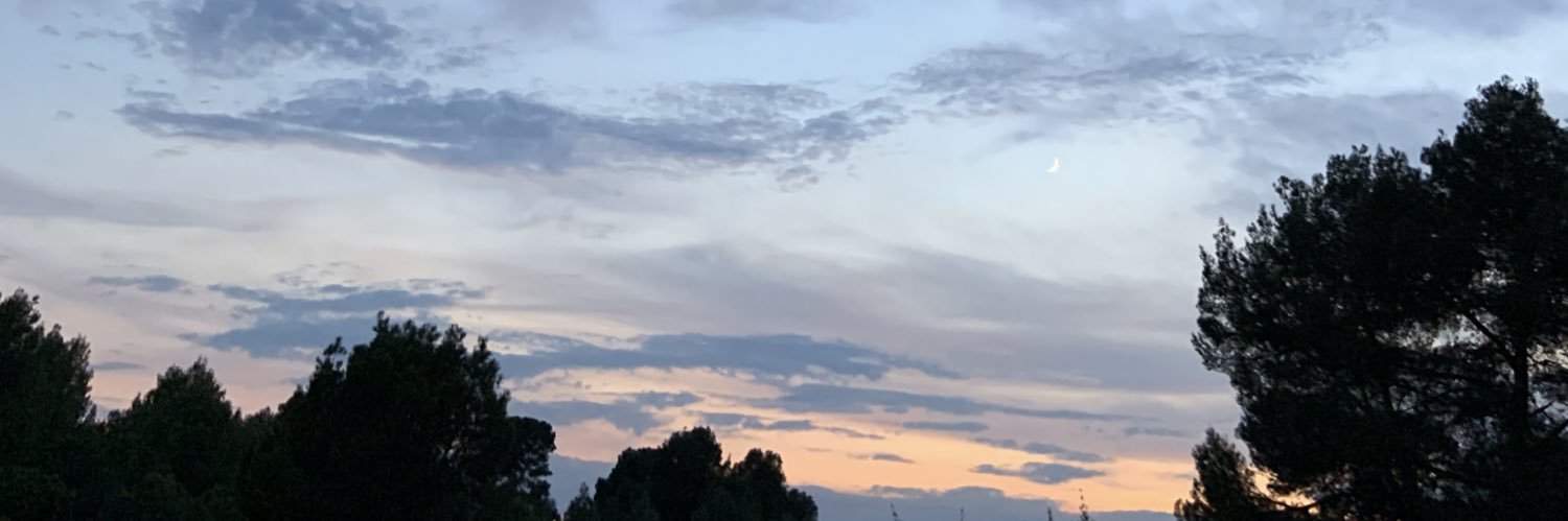frances_jules's profile banner image