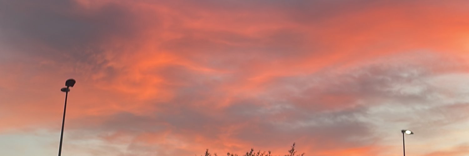 vaalentinapp's profile banner image