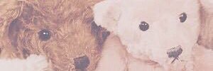 jump_torihikiry's profile banner image