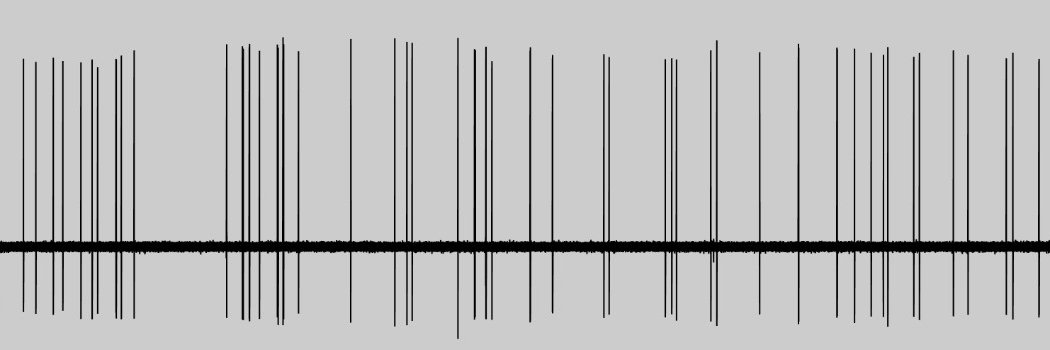 Rune Nguyen Rasmussen banner