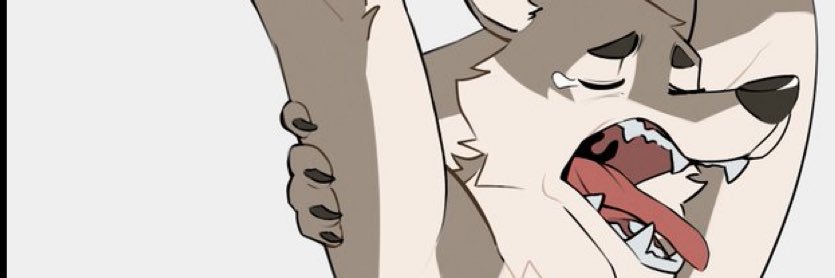 BriskyCoyote banner