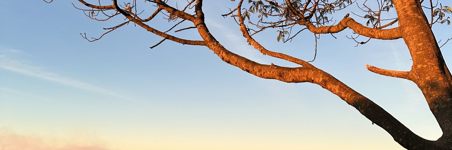 novitageraldine's profile banner image