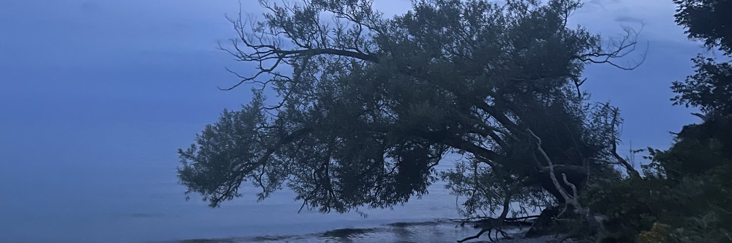 t_asfaw's profile banner image