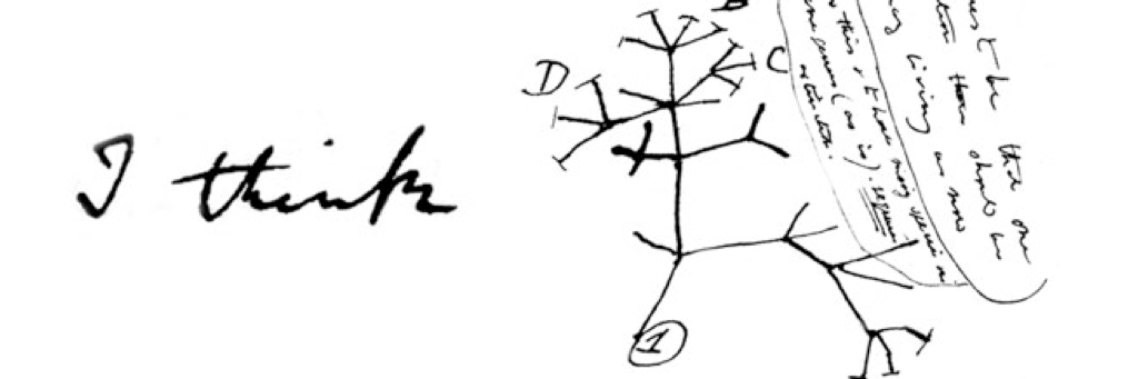 rvwilbourn's profile banner image