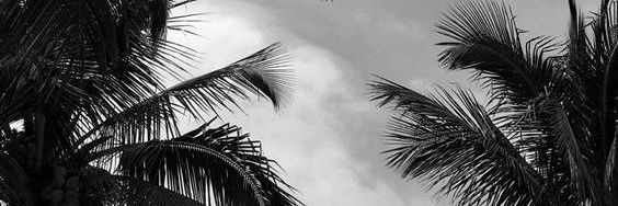 Le_duc92's profile banner image