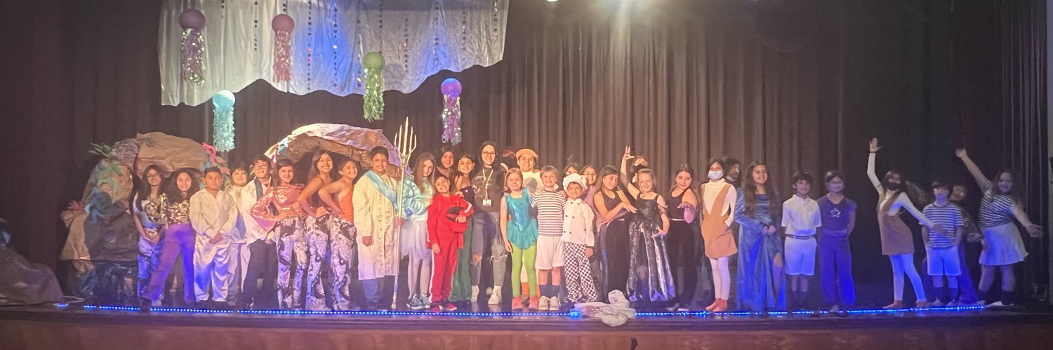 MetroESchoolofDesign banner