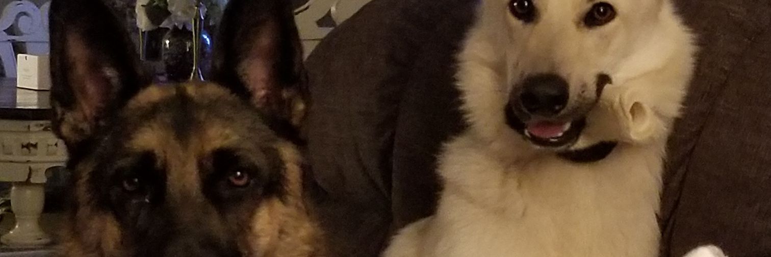 carterslade44's profile banner image