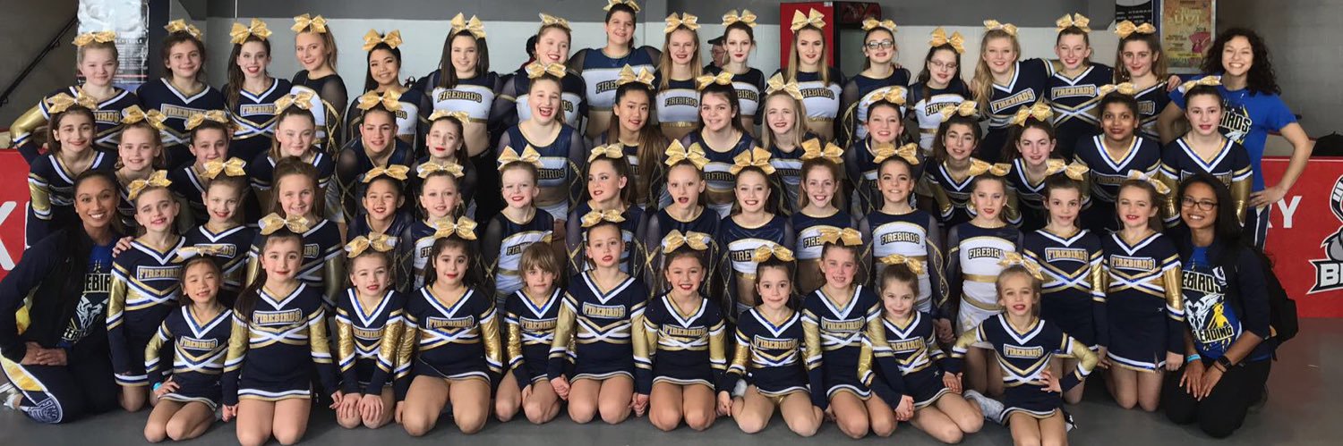 ACE_Firebirds's profile banner image