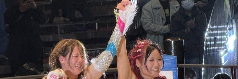 MintTeaLatte's profile banner image